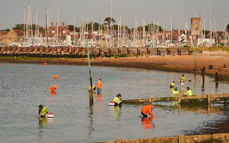 SSEN colleagues in Solent