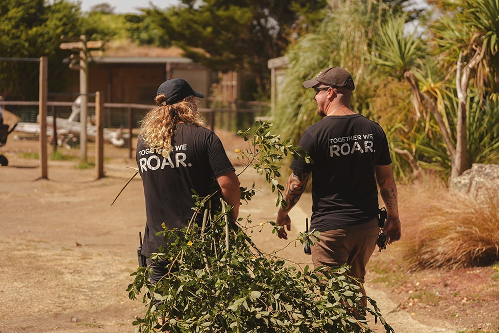 IOW Sanctuary team carrying browse