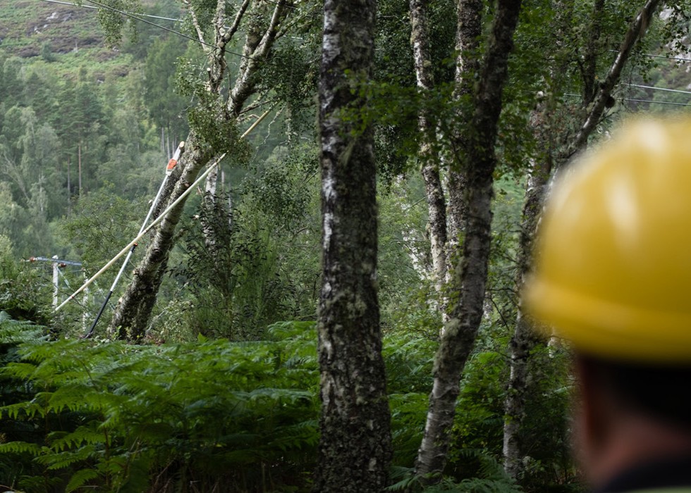 An SSEN team member on storm response in a forested location