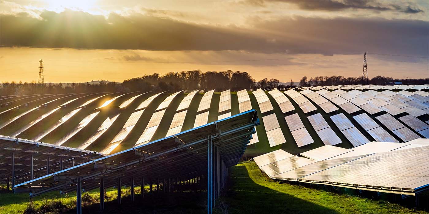 Solar farm at sunset