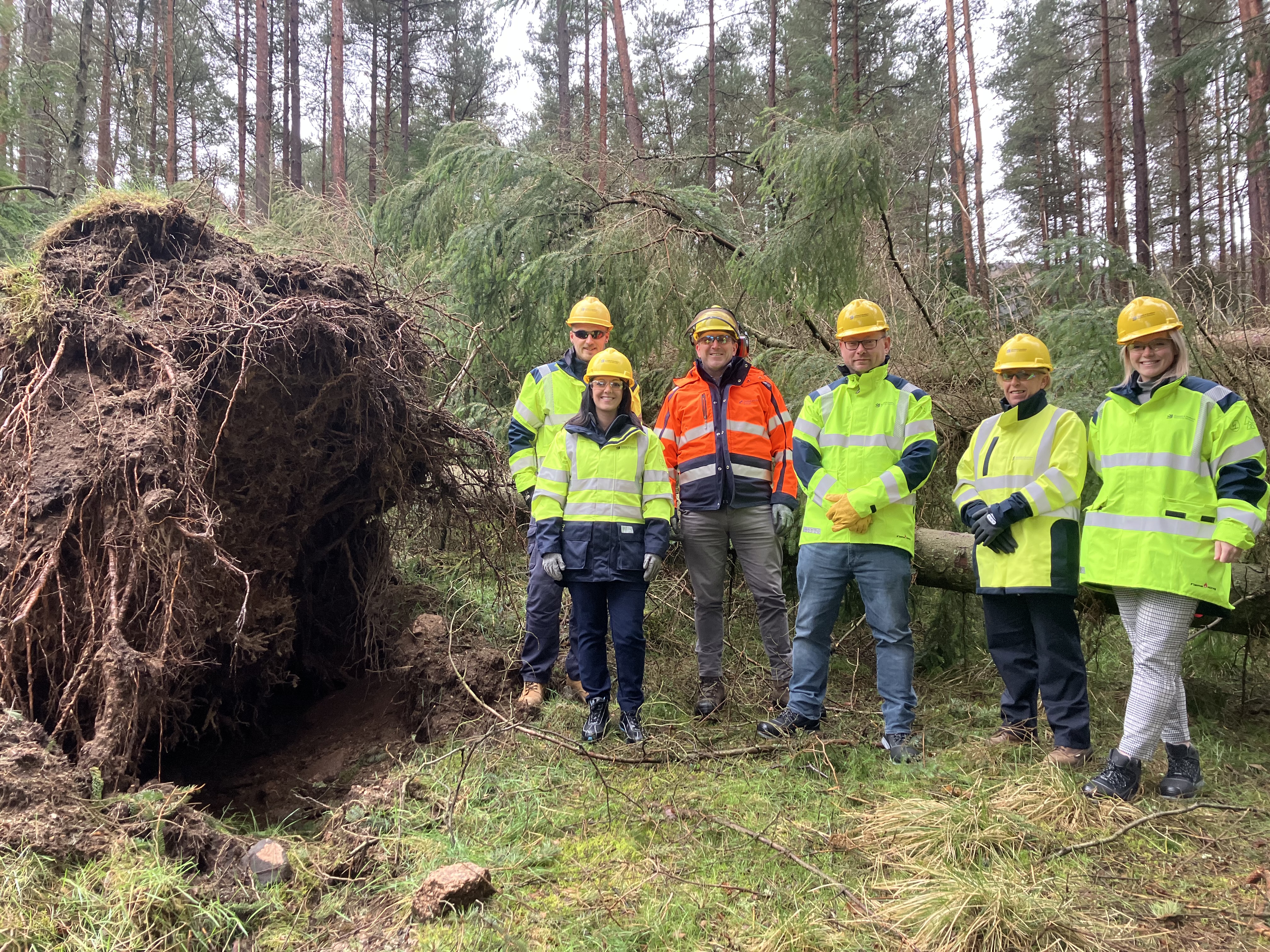 Richard Thomson MP meets with SSEN colleagues at Pitfichie Forest in Aberdeenshire