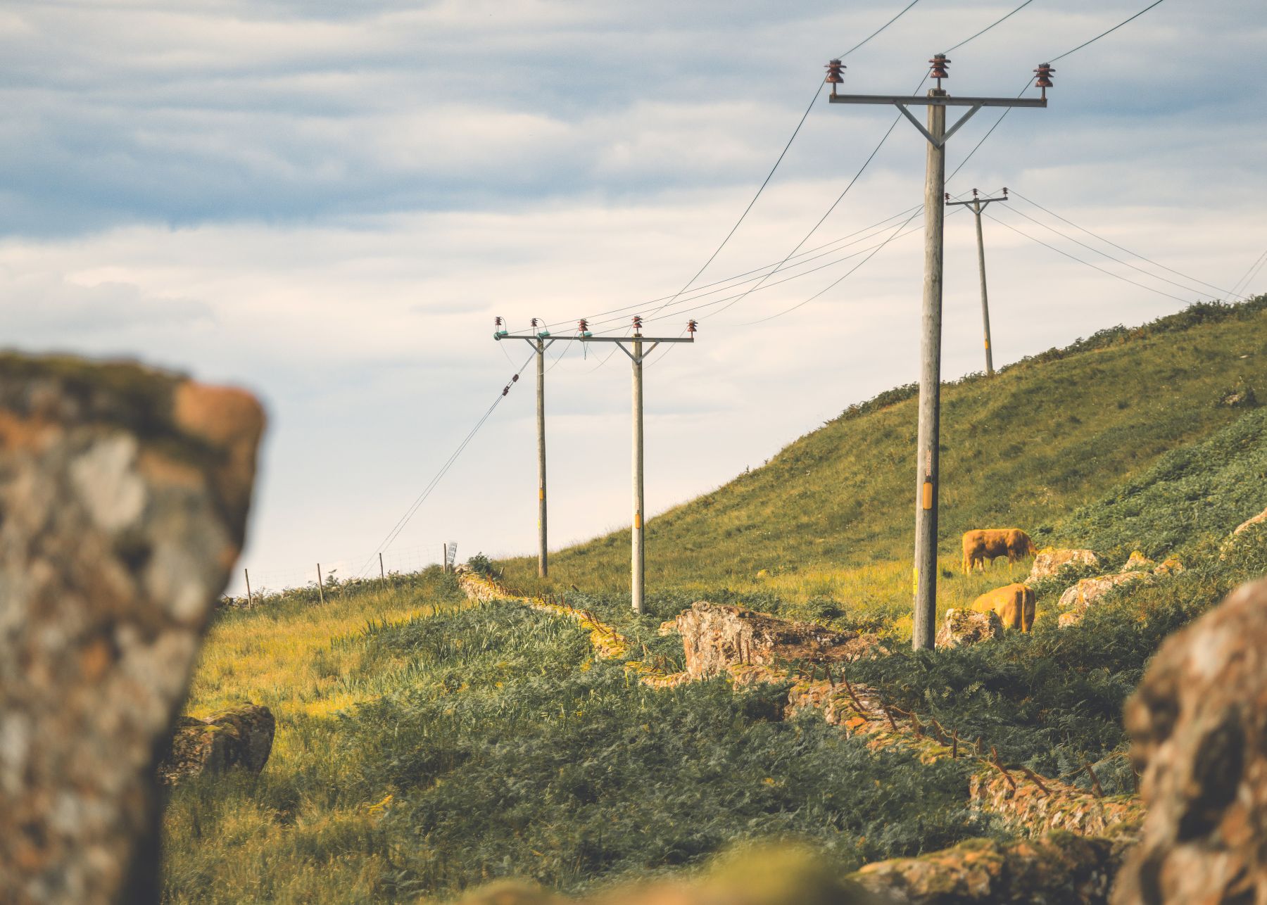 The SSEN Distribution overhead network running through a rural area The SSEN Distribution overhead network running through a rural area