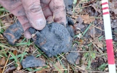 Pottery finds next to hand and measuring stick