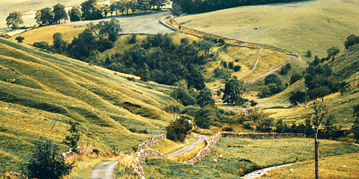 Sustainable Supplier Code