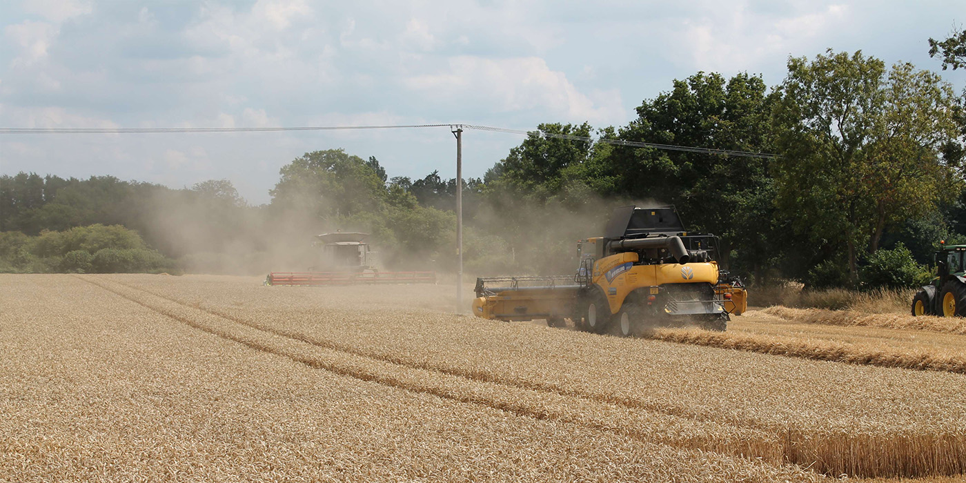 Harvester in field
