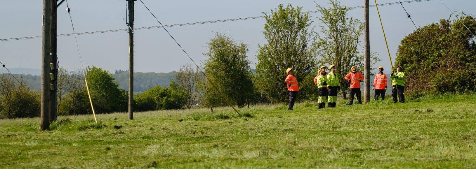 Utility crew inspecting power lines and poles in a field.
