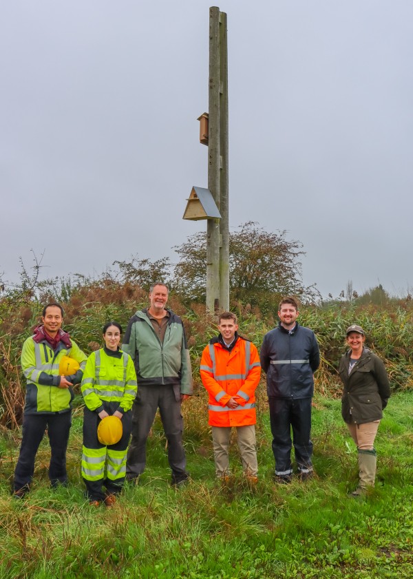 The project team by one of the old electricity poles that's been repurposed as a site for locating bird boxes