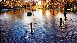 Flooded village greeen