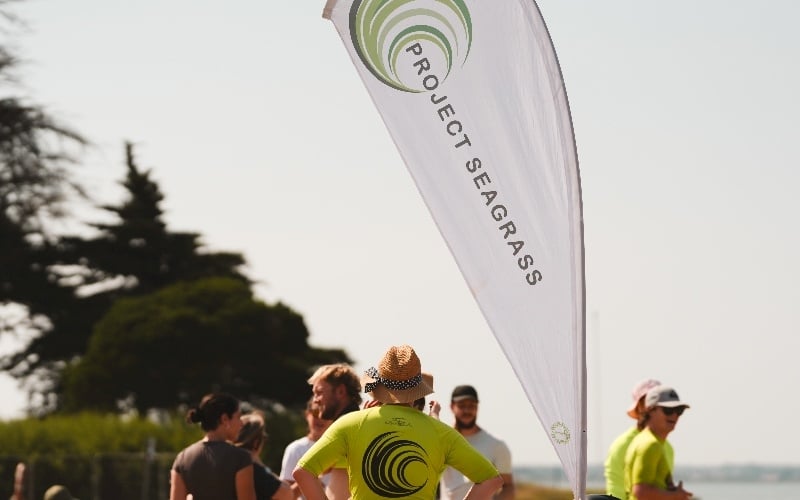 People standing on beach in front of Project Seagrass banner