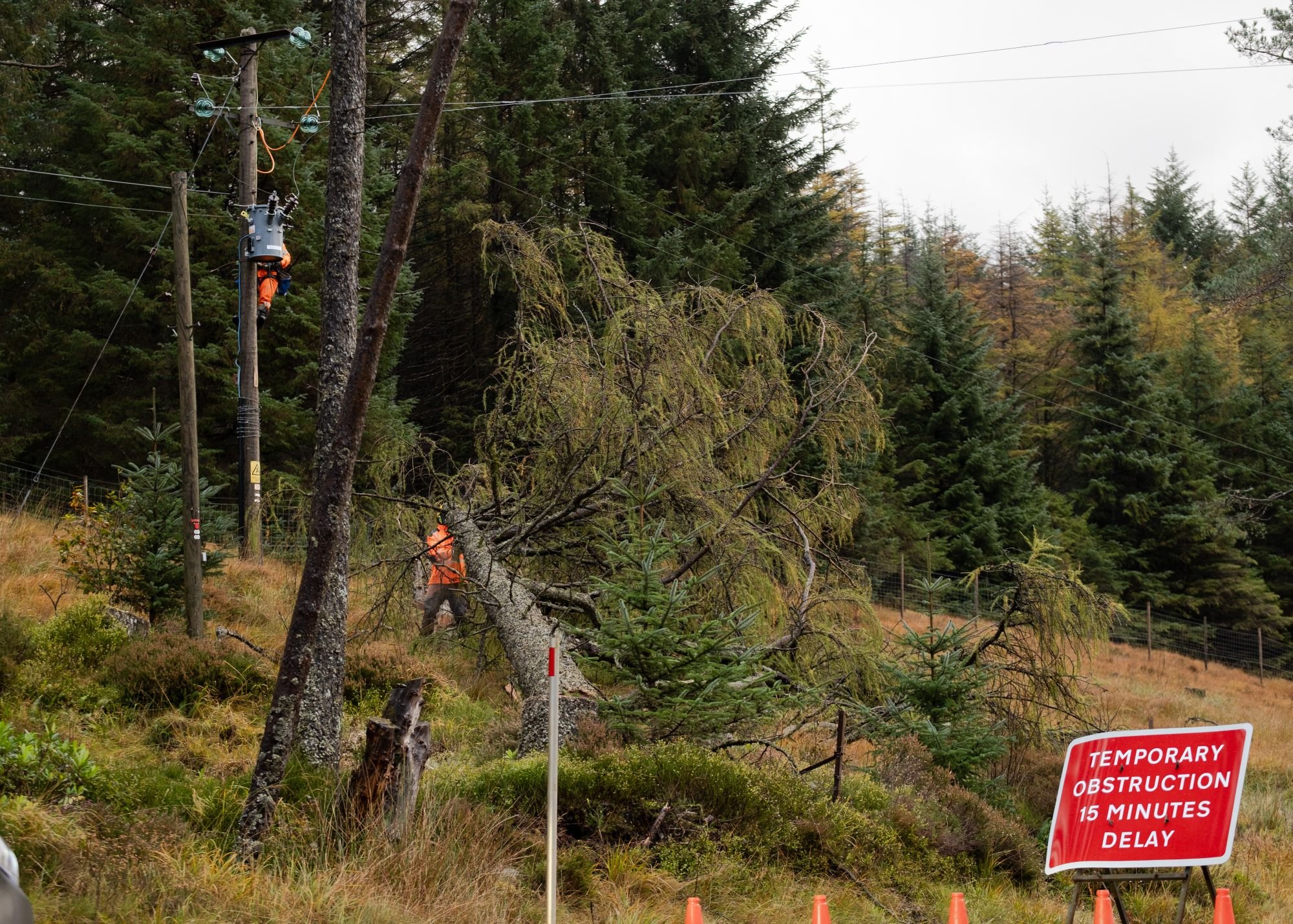 A tree cutting team clearing access to a network fault