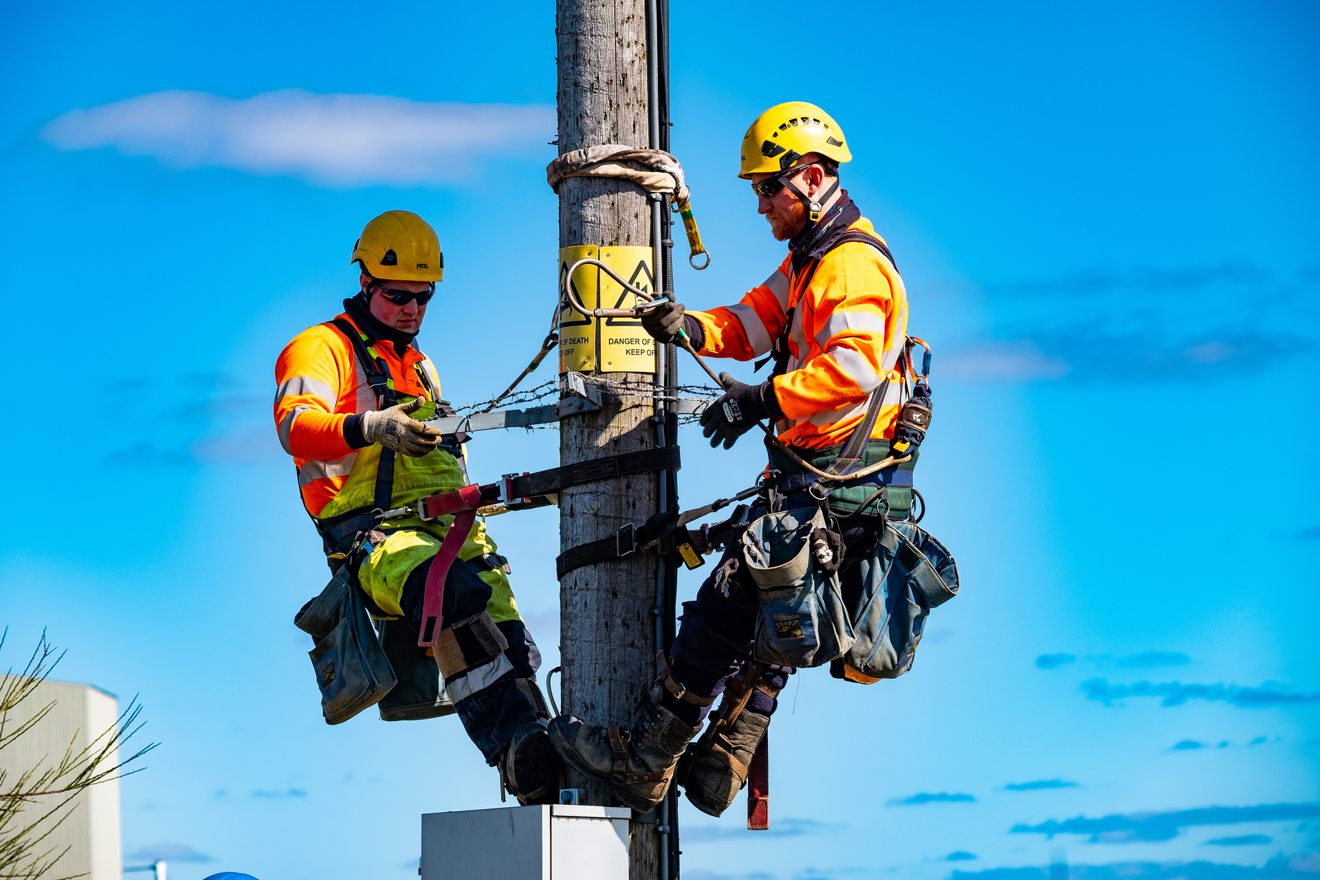 Engineers working on pole