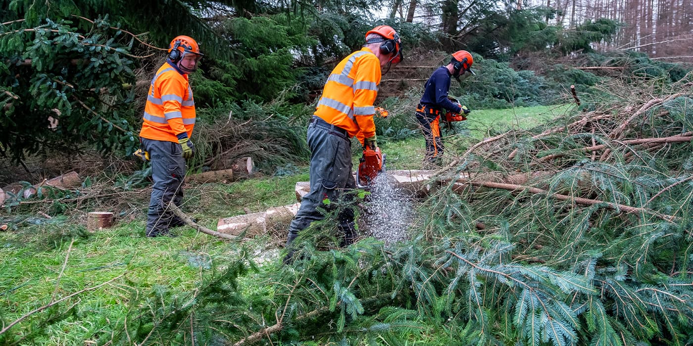 Engineers clearing fallen trees