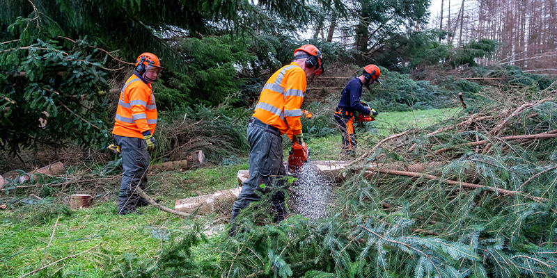 Picture Shows: Linesmen and Tree Cutters working to restore power to communities around Callander, Stirlingshire