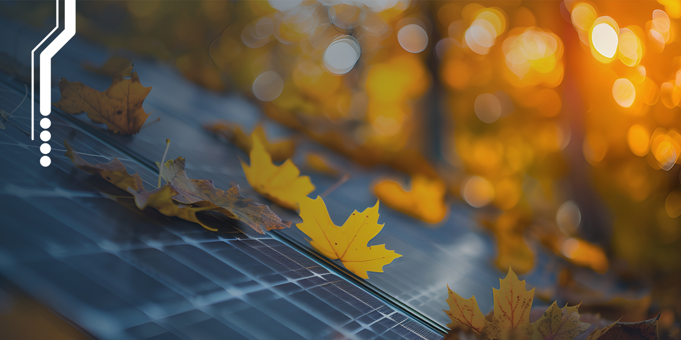 Image of solar panels surrounded by autumn leaves