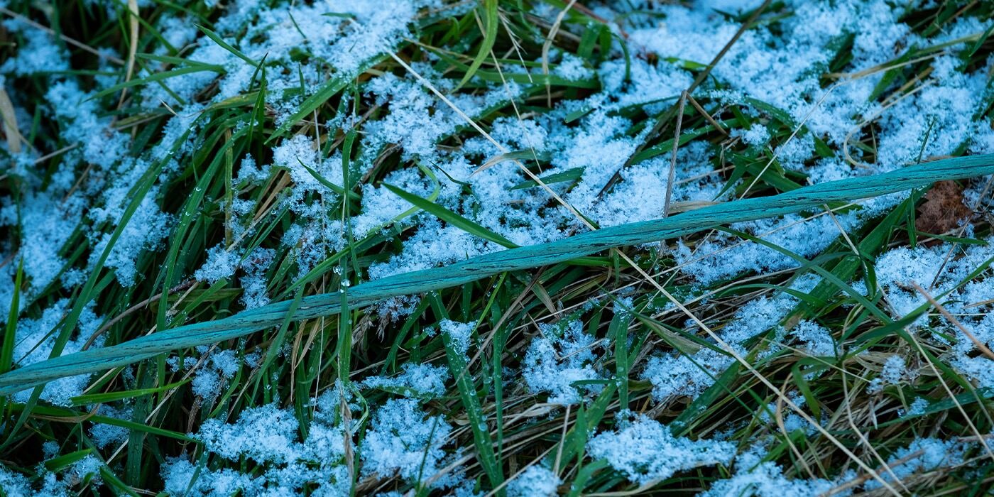A line on frozen grass