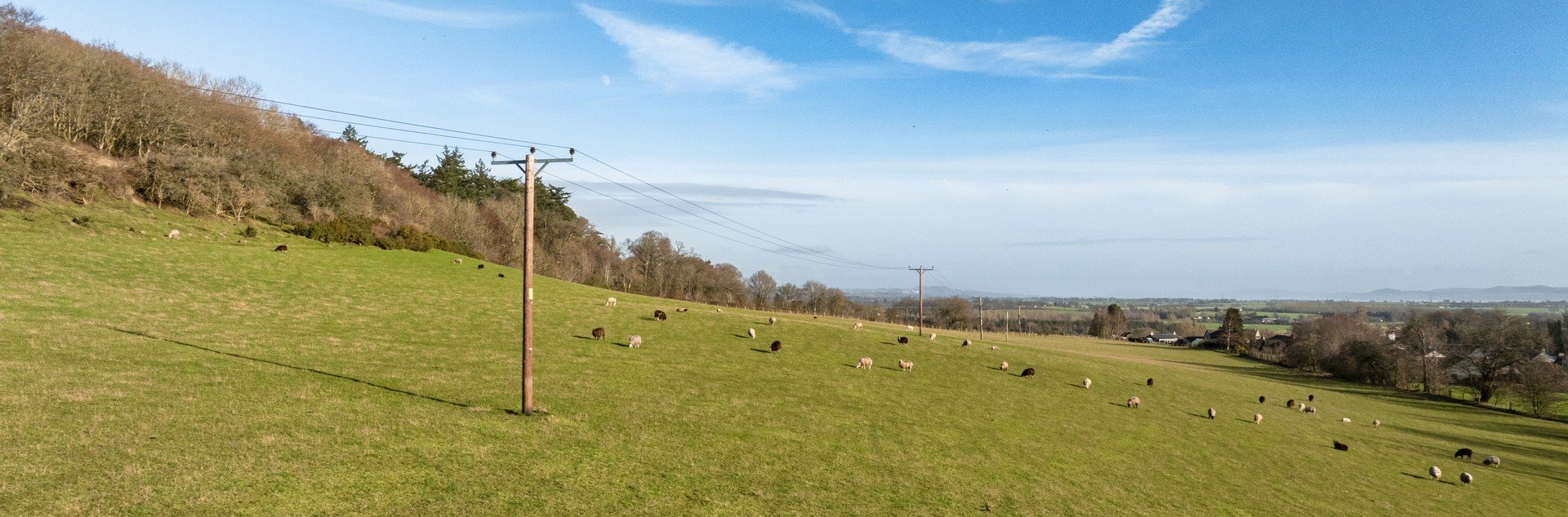 Green field with blue sky present, overhead line in view.
