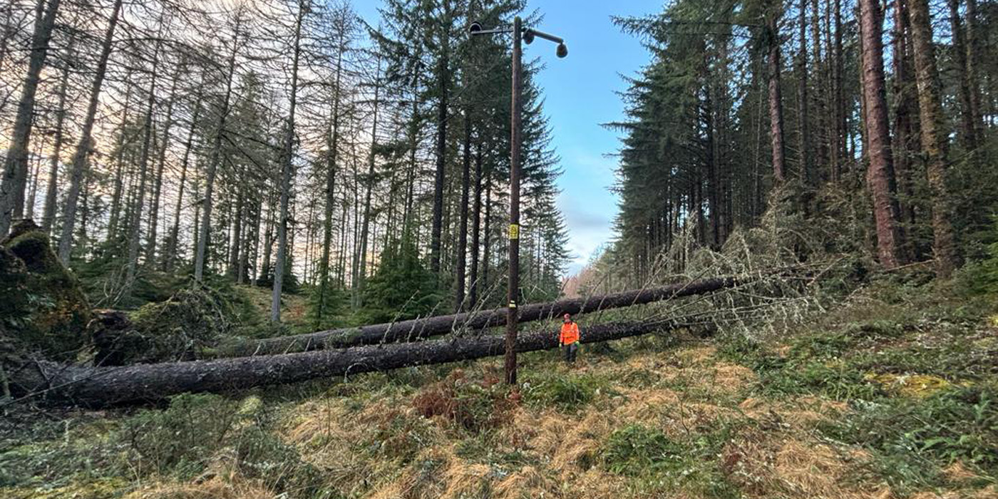SSEN Utility Arborist During Storm Gerrit