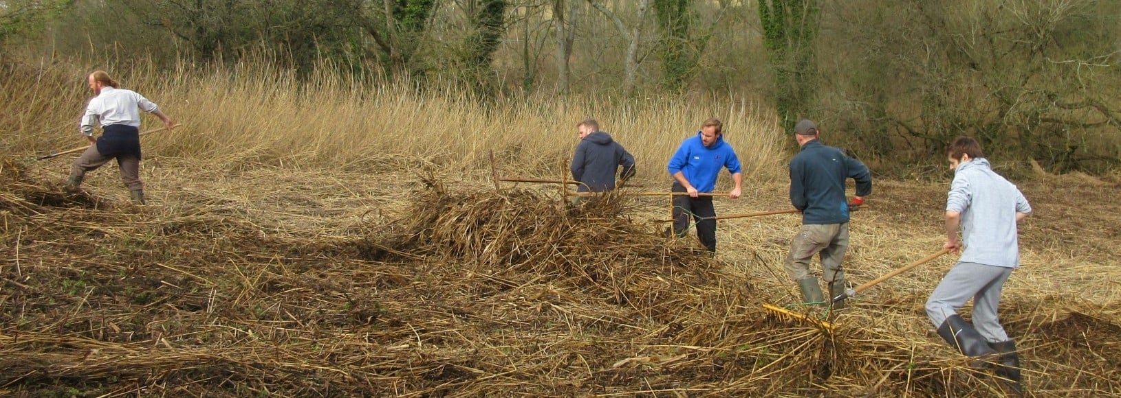 Men in field raking dry grass