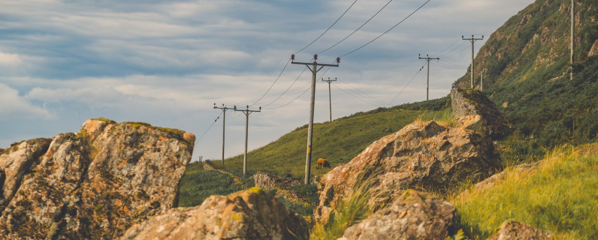 ssen engineer standing by van