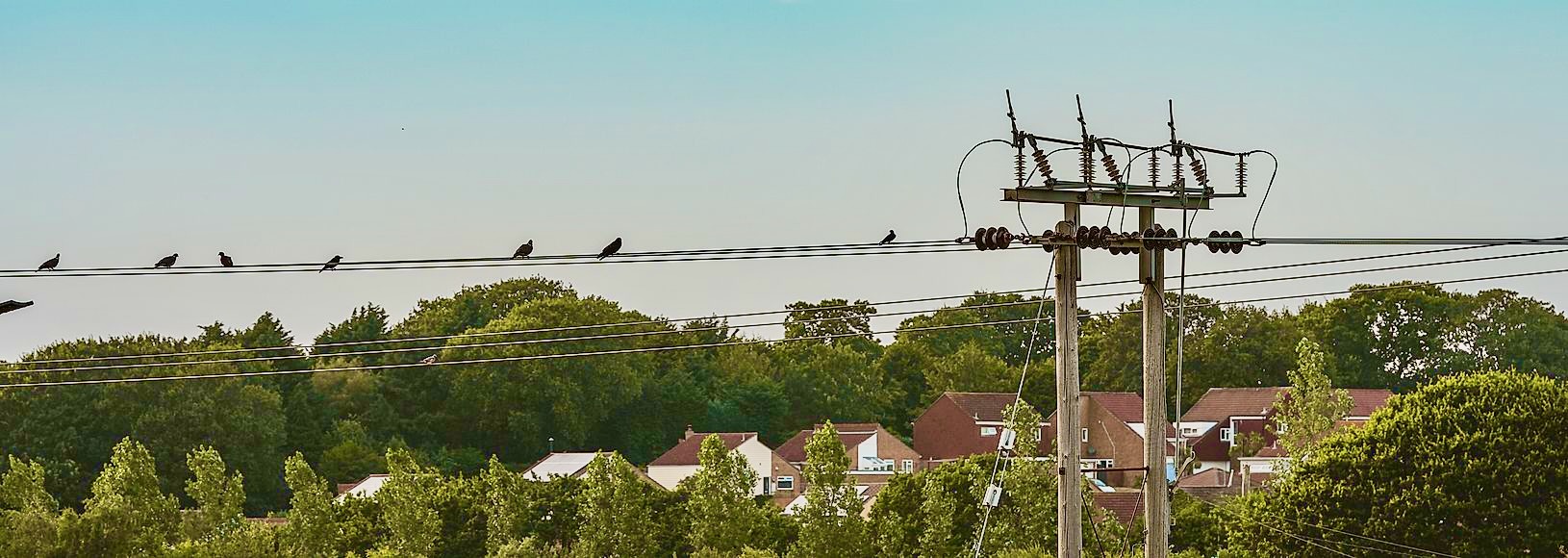 SSEN's upgraded overhead line network on the Isle of Wight