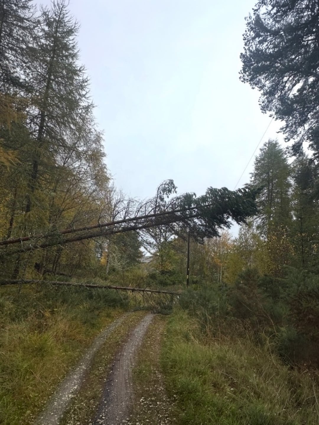 Storm Boelo response photograph 3 of 9