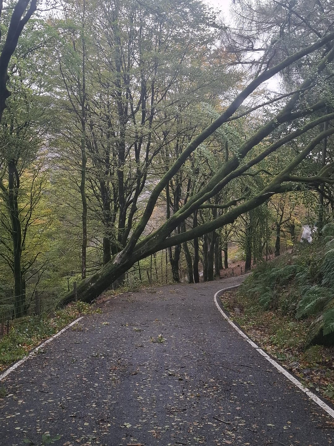 Storm Boelo response photograph 7 of 9
