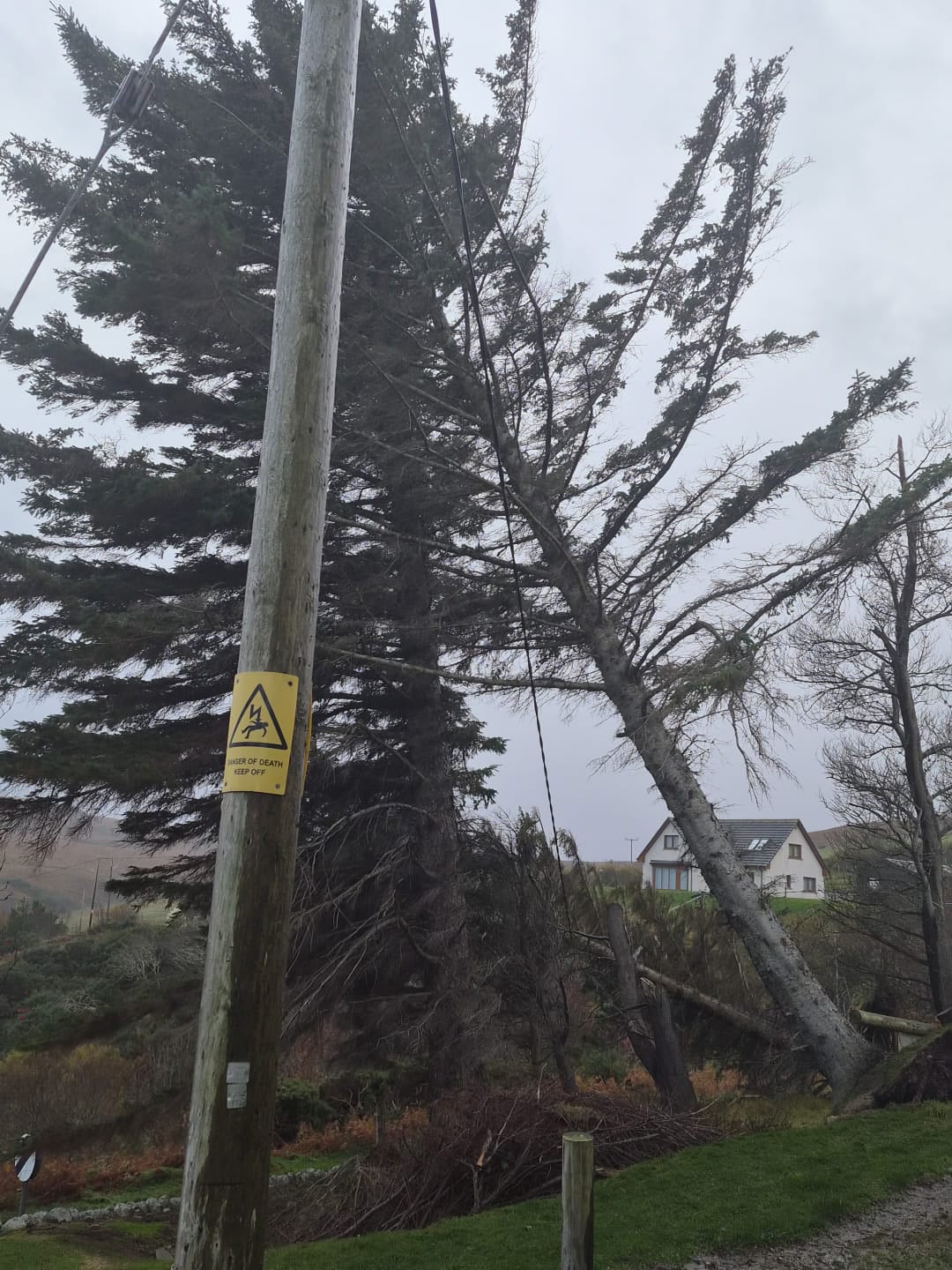 Storm Boelo response photograph 8 of 9
