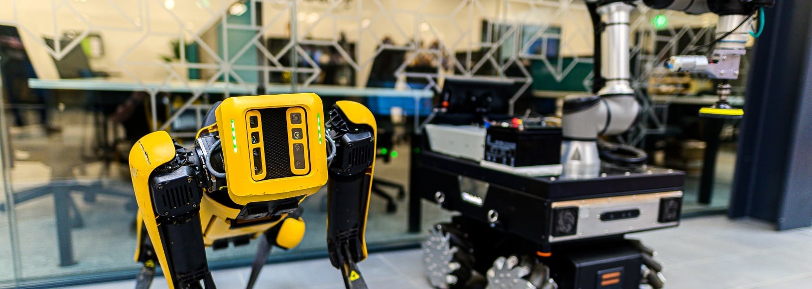 Generic images of robotic solutions