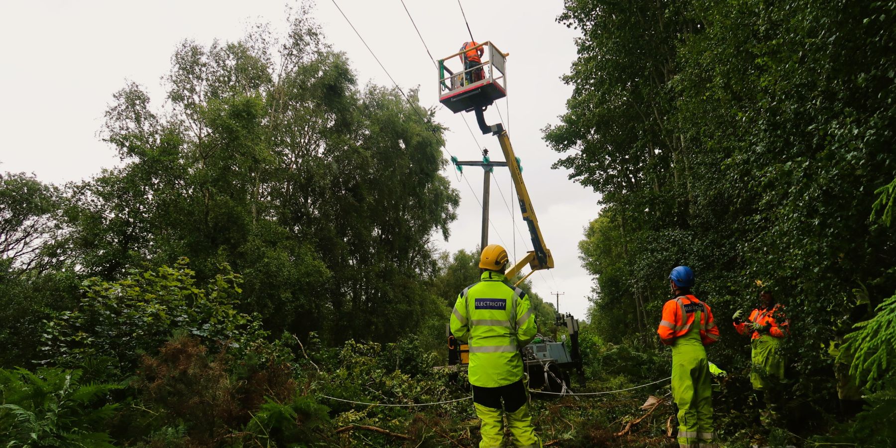 An SSEN team repairing a fault on the network in a wooded area near Beauly