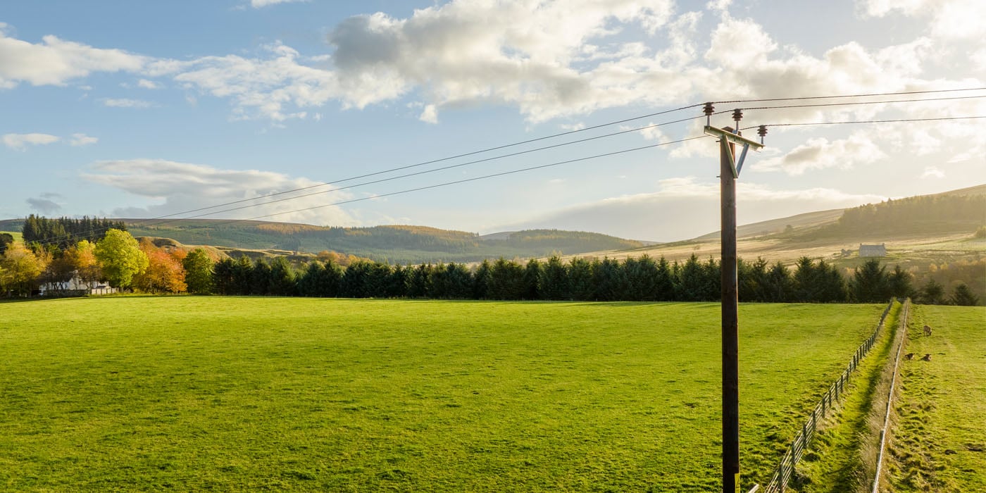 Distribution poke in the sunshine